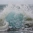 thumbs/E5D_4141.jpg